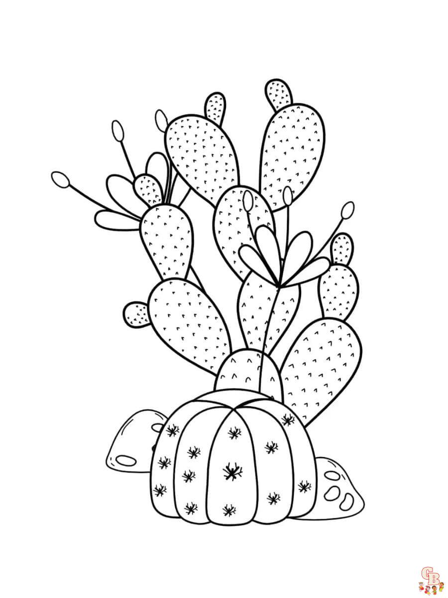cactus flower coloring page