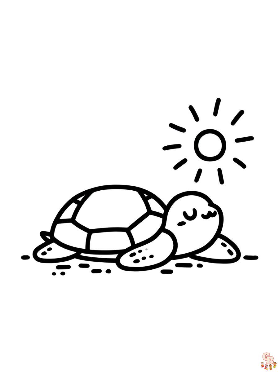 Disegni da colorare di tartarughe - Stampabili gratuiti per bambini