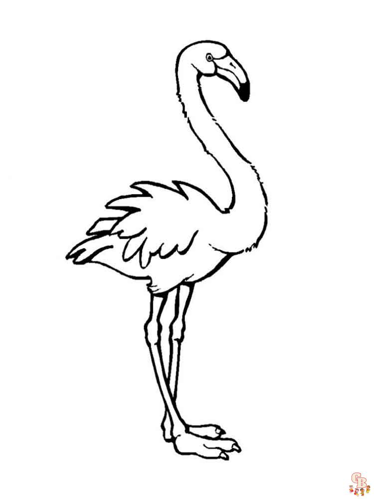 Flamingo coloring pages