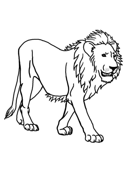 Discover the Majestic World of Lions with GBcoloring