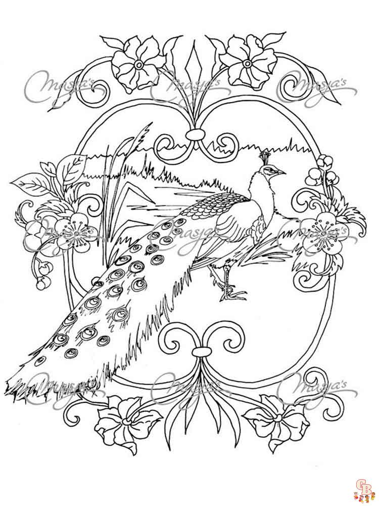 Peacock Coloring Pages