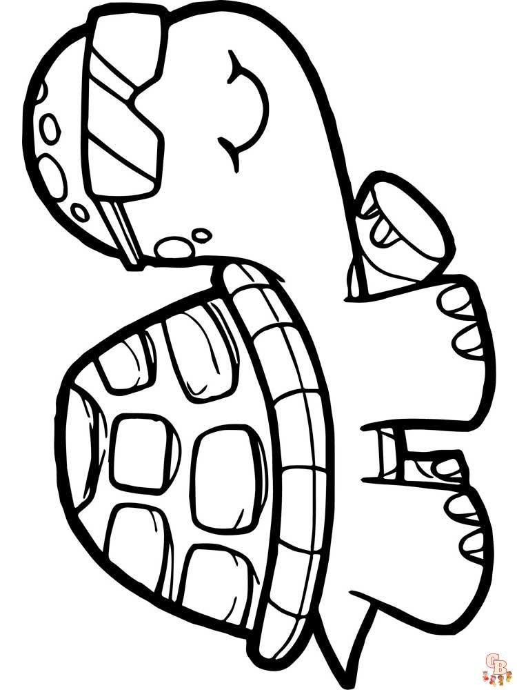 Tortoise coloring pages