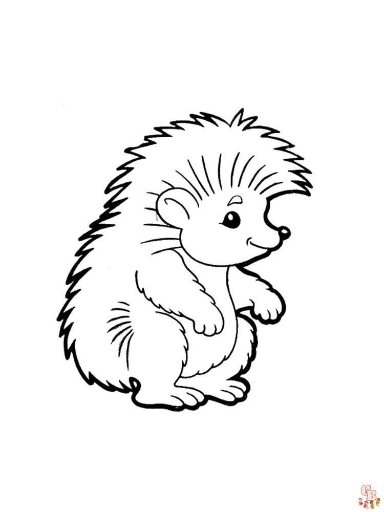 The Hedgehog Trio by Auroblaze  ぬり絵, ハリネズミの絵, ヤマアラシ
