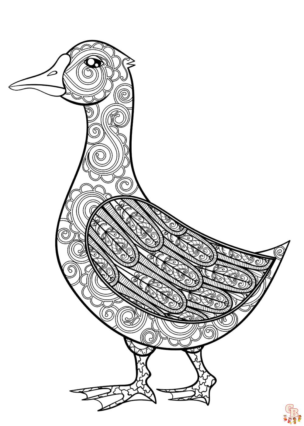 Duck coloring pages