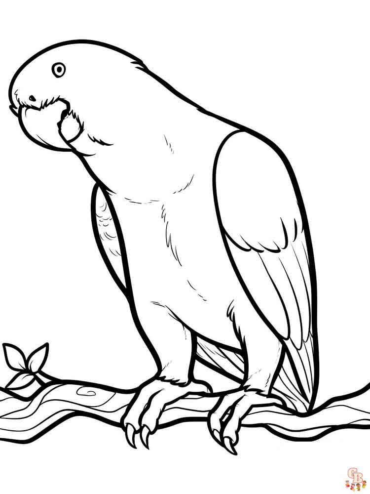 The best Parrot coloring pages 2023 21