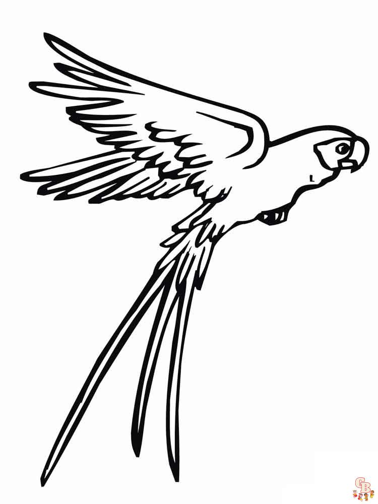 The best Parrot coloring pages 2023 22