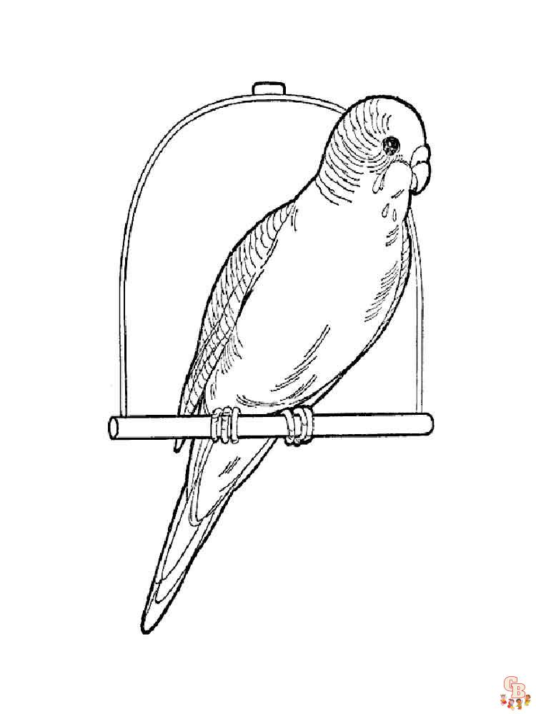 The best Parrot coloring pages 2023 29