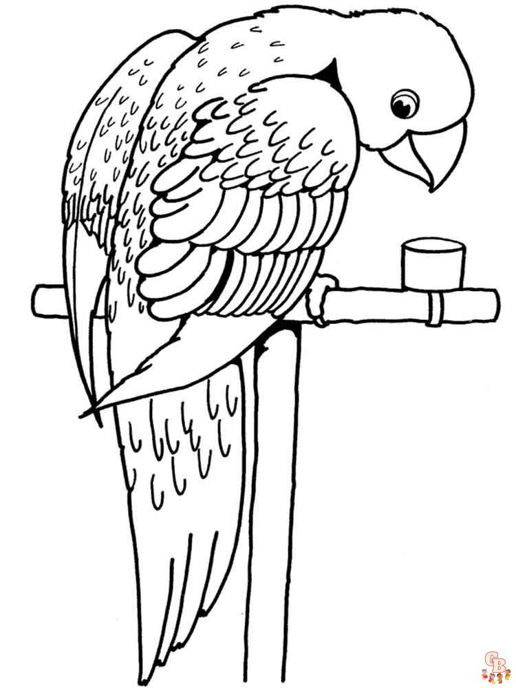 The best Parrot coloring pages 2023 32