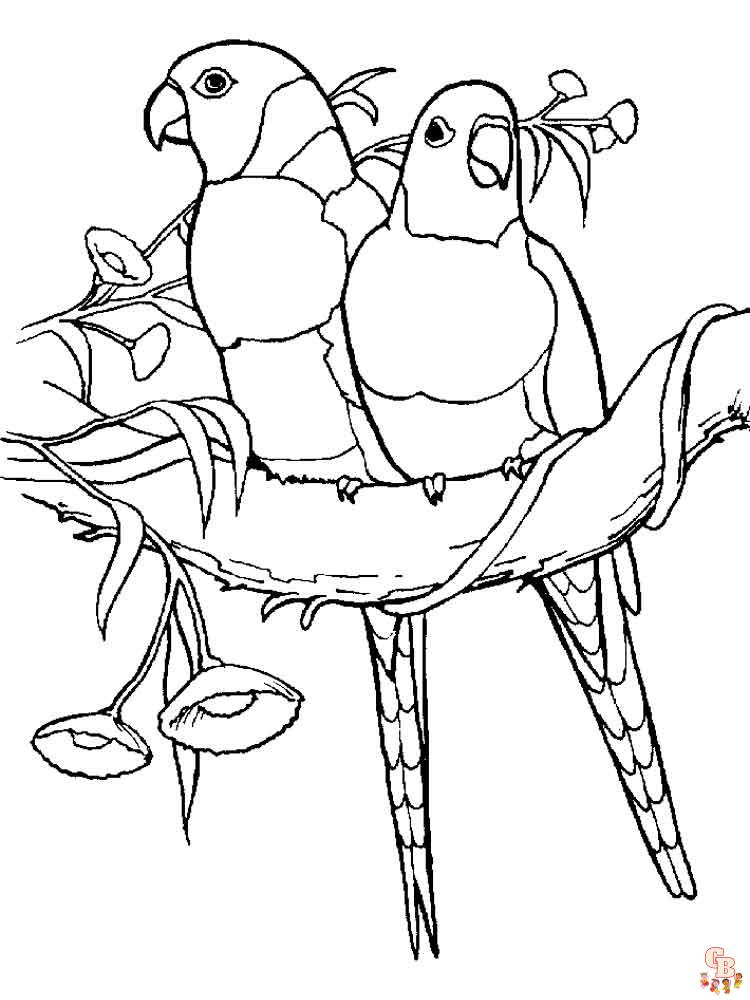 The best Parrot coloring pages 2023 8