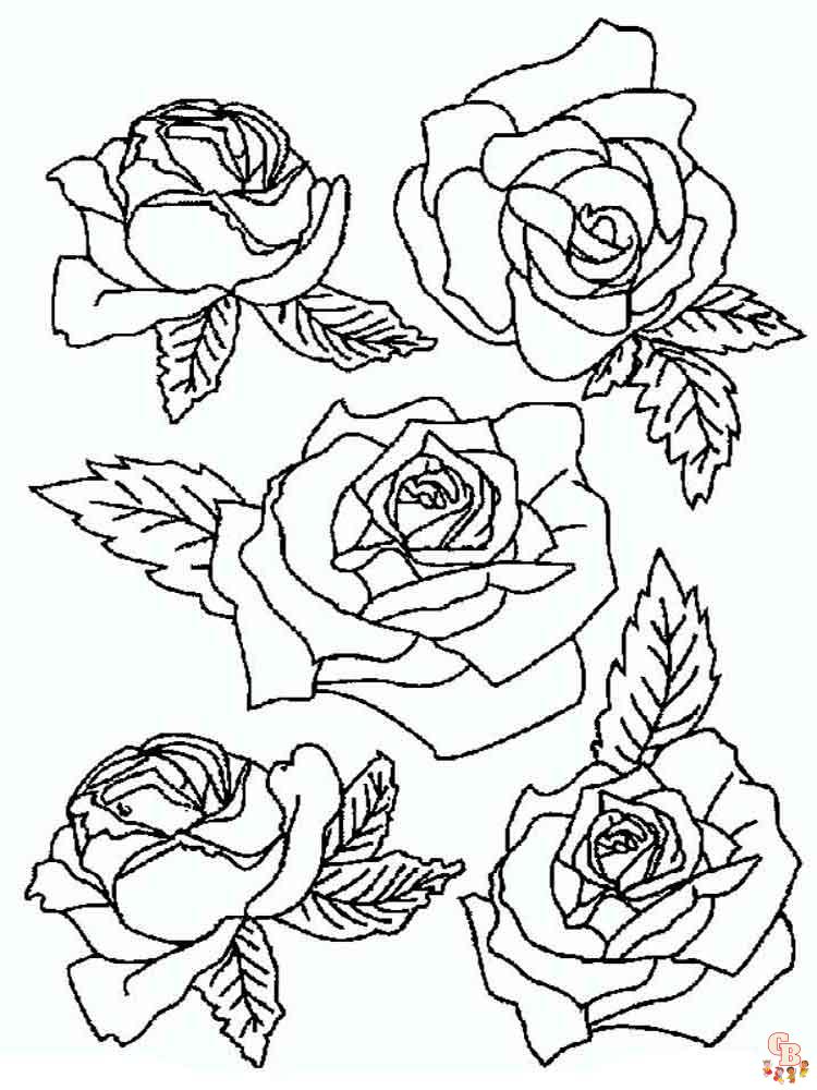 rose coloring pages 14