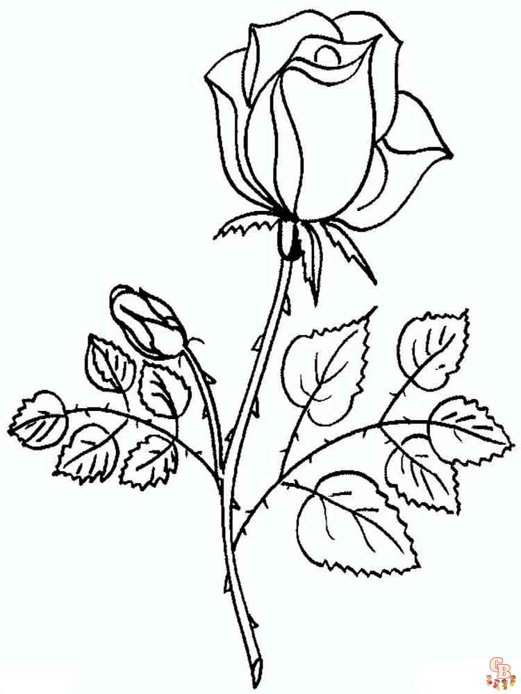 rose coloring pages 15