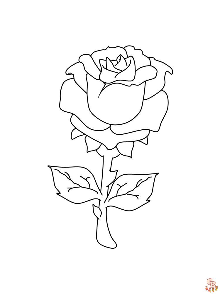 Фото по запросу Страница раскрашивания розы