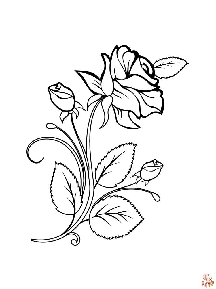 rose coloring pages 30