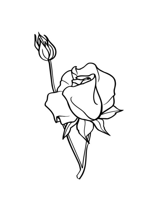 Color Your World with Rose Coloring Pages 2023