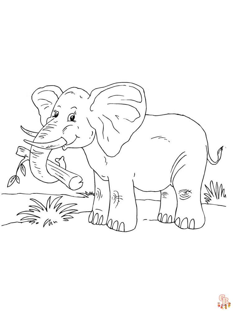 African Animals Coloring Pages 16