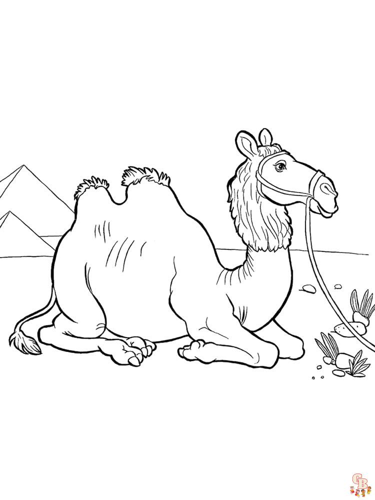 African Animals Coloring Pages 18