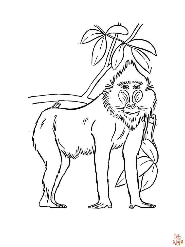 African Animals Coloring Pages 2