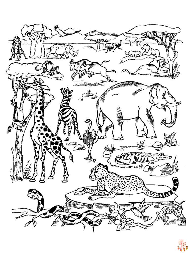 Животные Африки раскраски