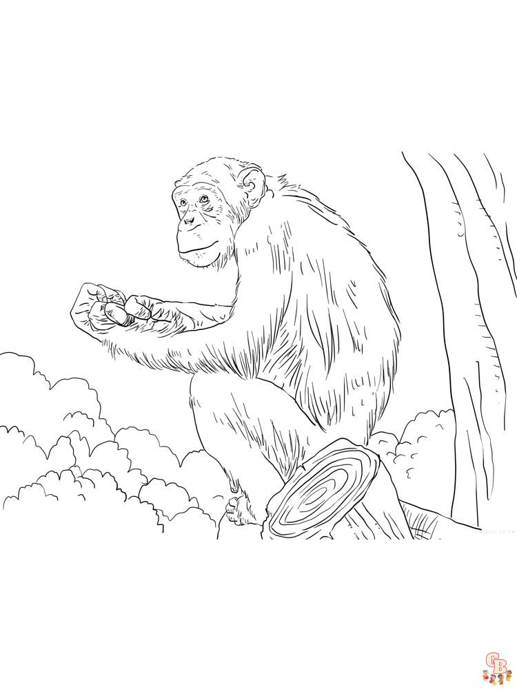 African Animals Coloring Pages 3