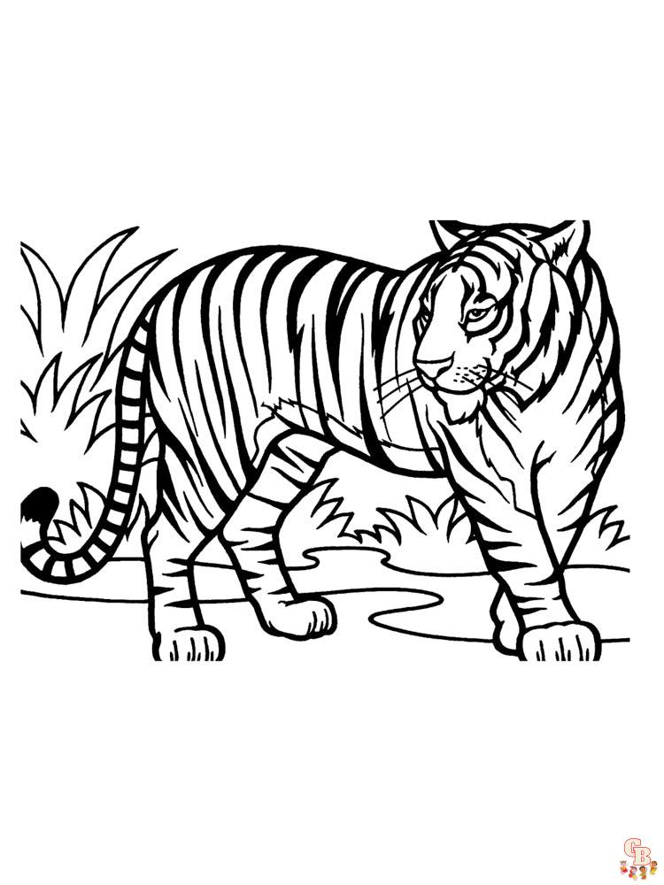 African Animals Coloring Pages 30