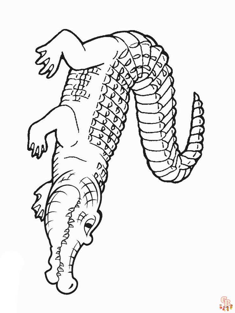Alligator Coloring Pages 1