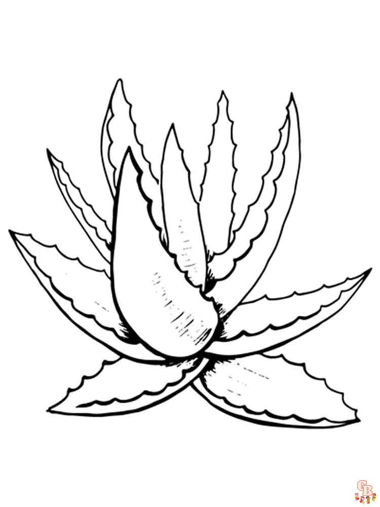 Aloe Coloring Pages 1