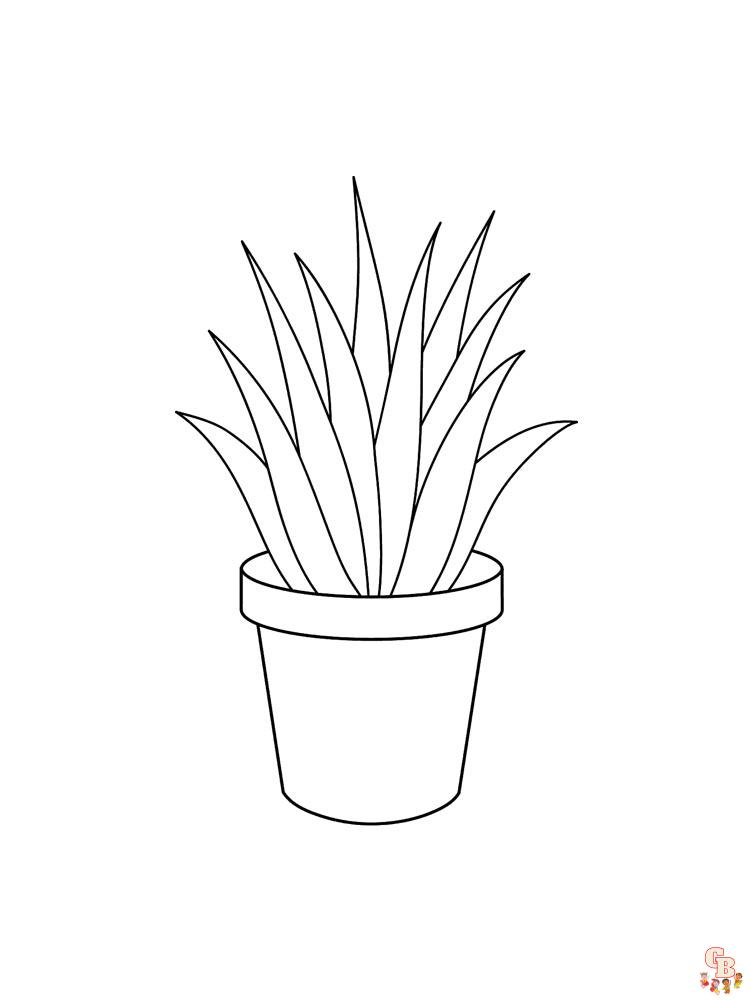 Aloe Coloring Pages 10