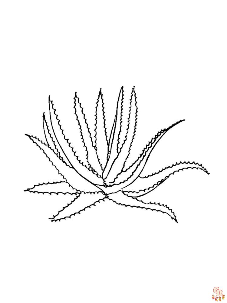 Aloe Coloring Pages 11