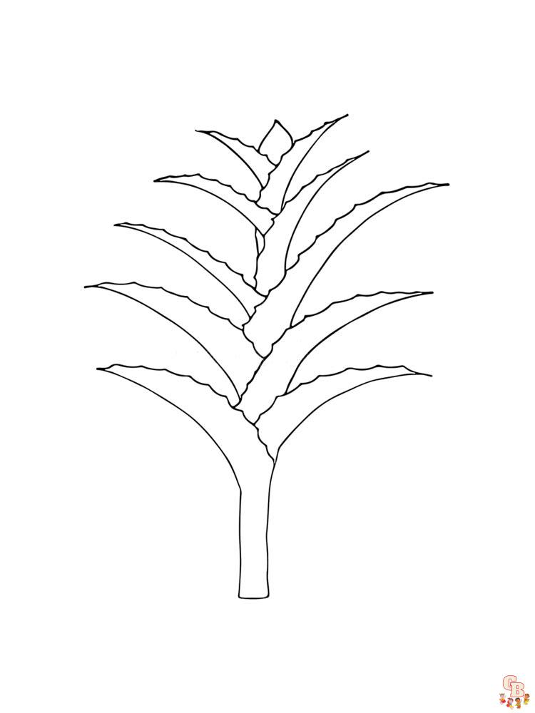 Aloe Coloring Pages 12