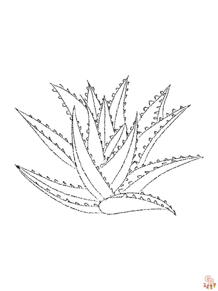 Aloe Coloring Pages 13