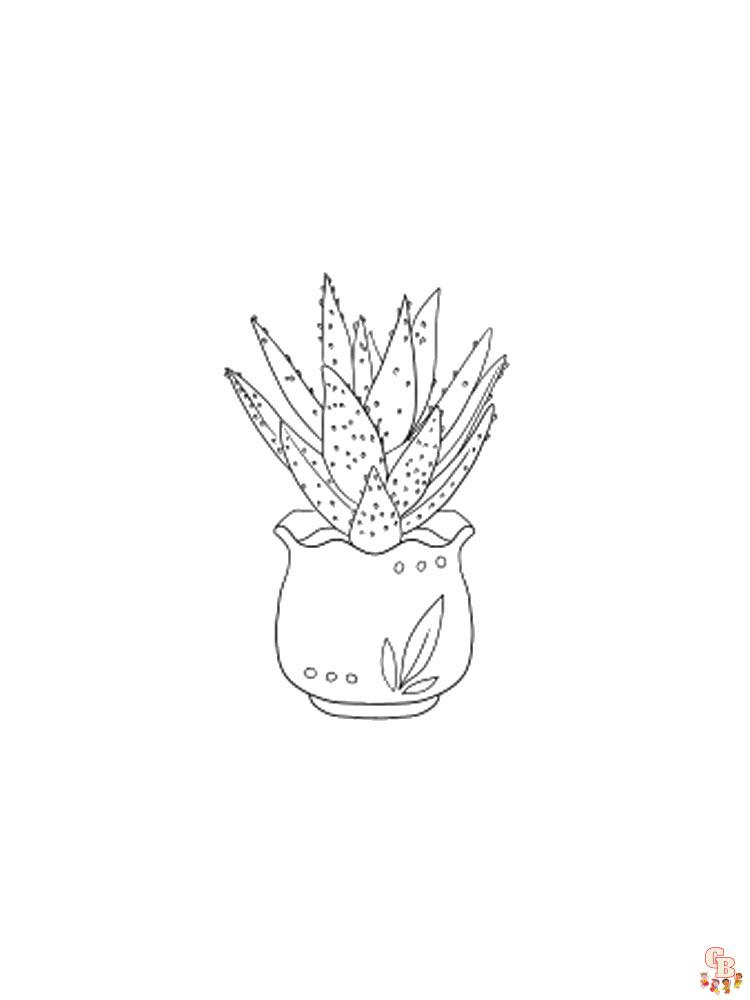 Aloe Coloring Pages 14
