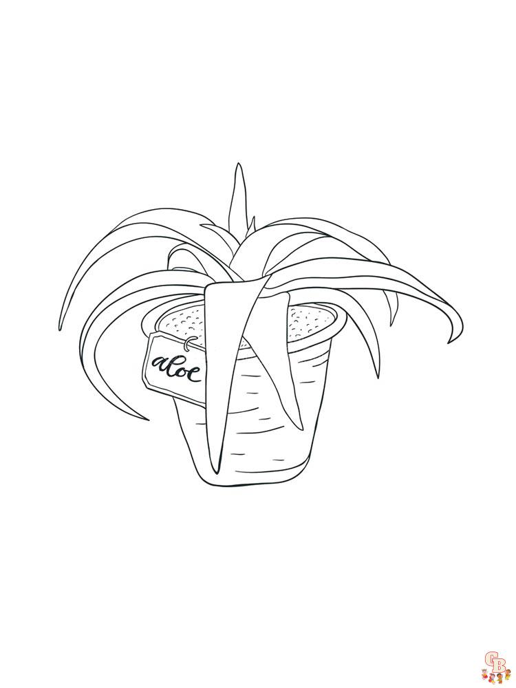 Aloe Coloring Pages 17