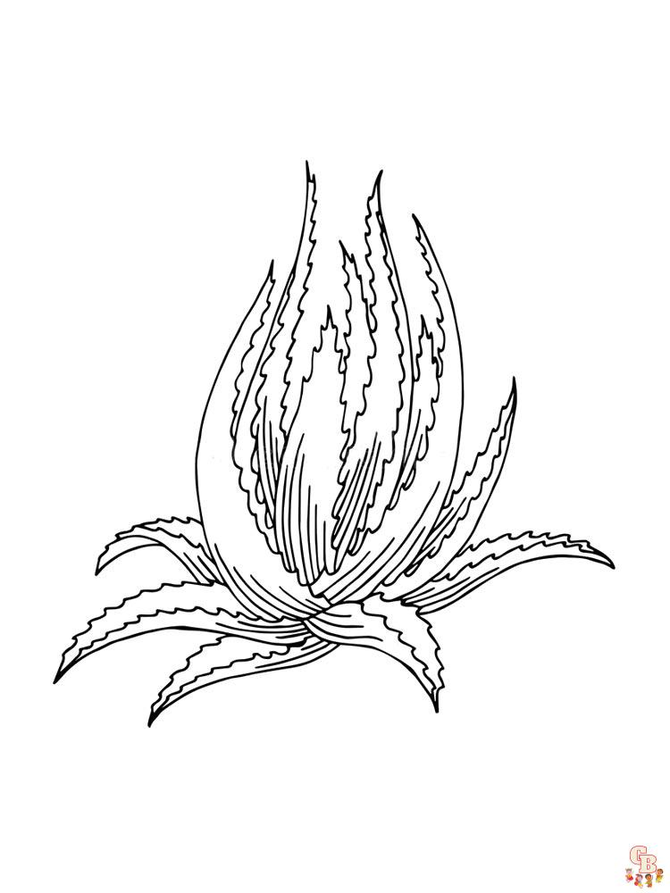 Aloe Coloring Pages 18