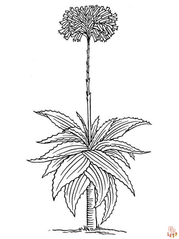 Aloe Coloring Pages 5