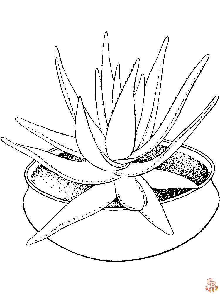 Aloe Coloring Pages 6