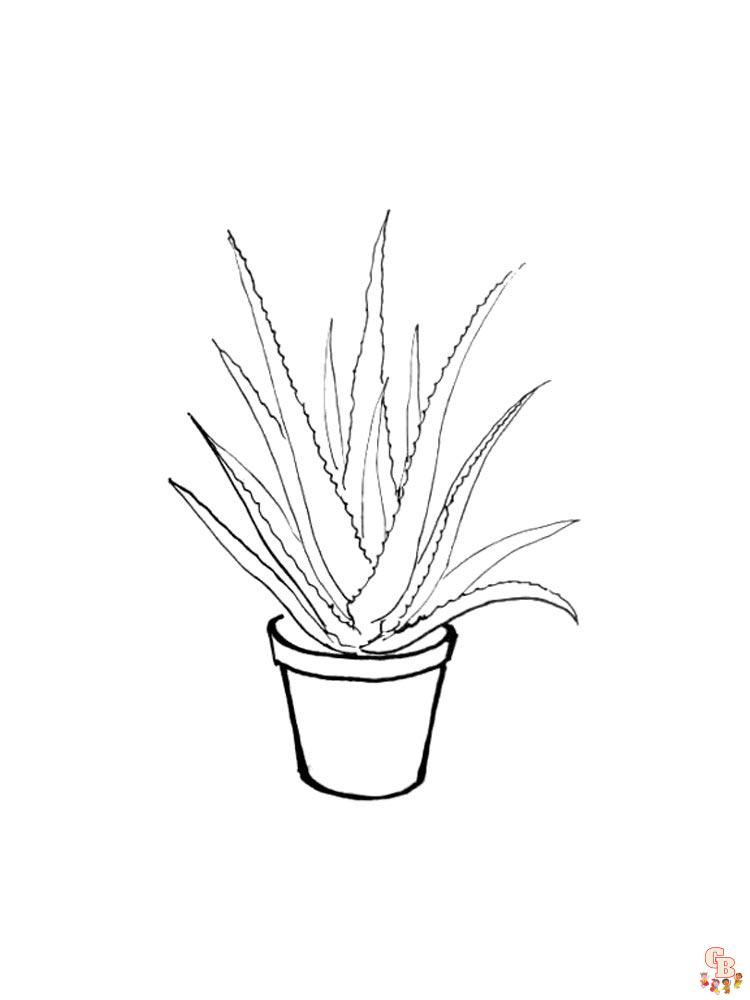 Aloe Coloring Pages 8