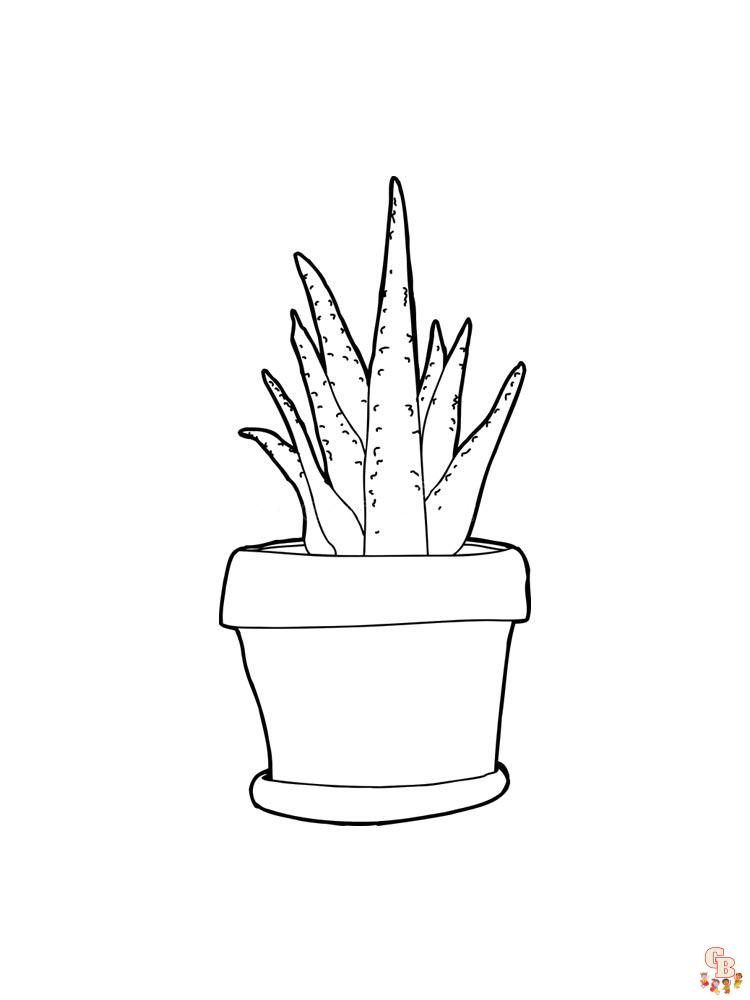 Aloe Coloring Pages 9