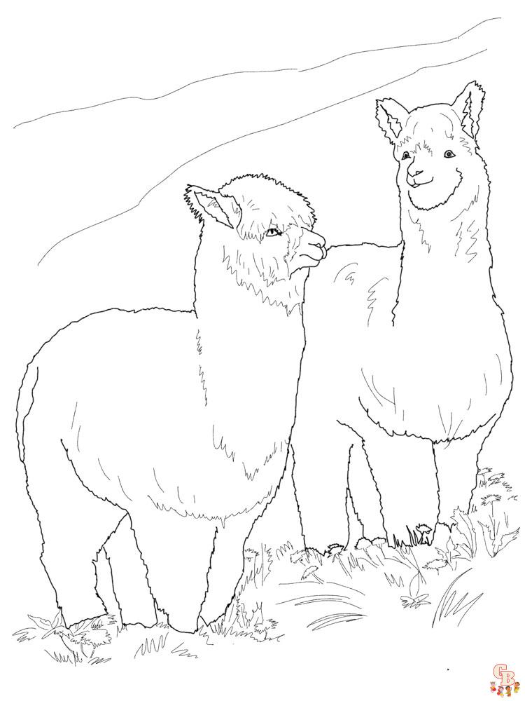 Alpaca Coloring Pages 6