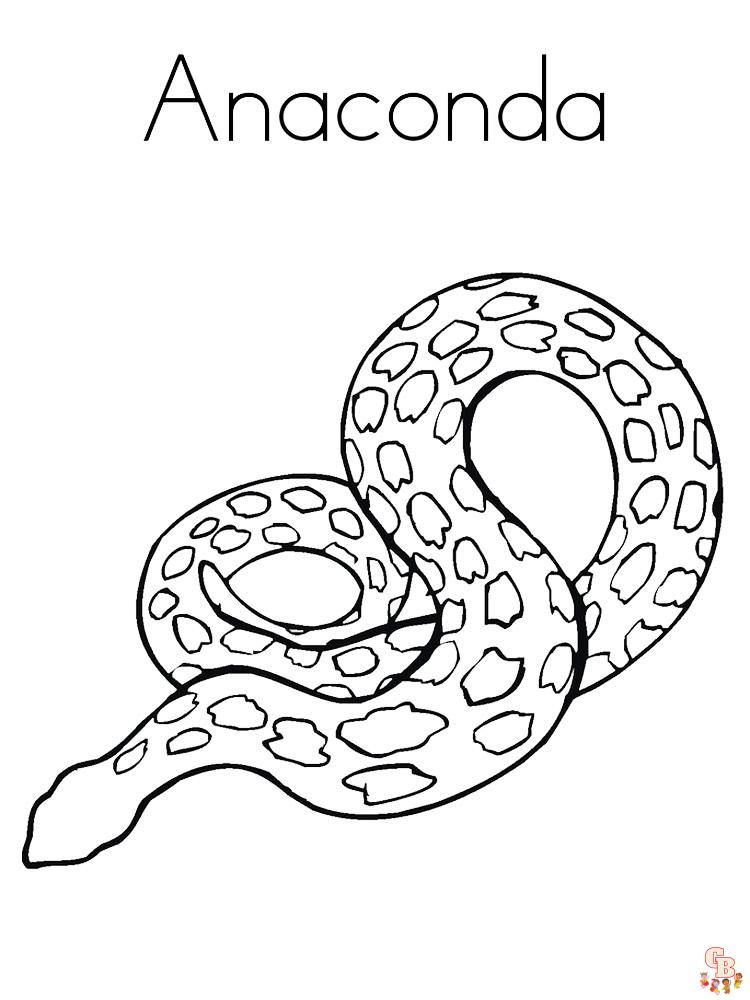 Anaconda Coloring Pages 1