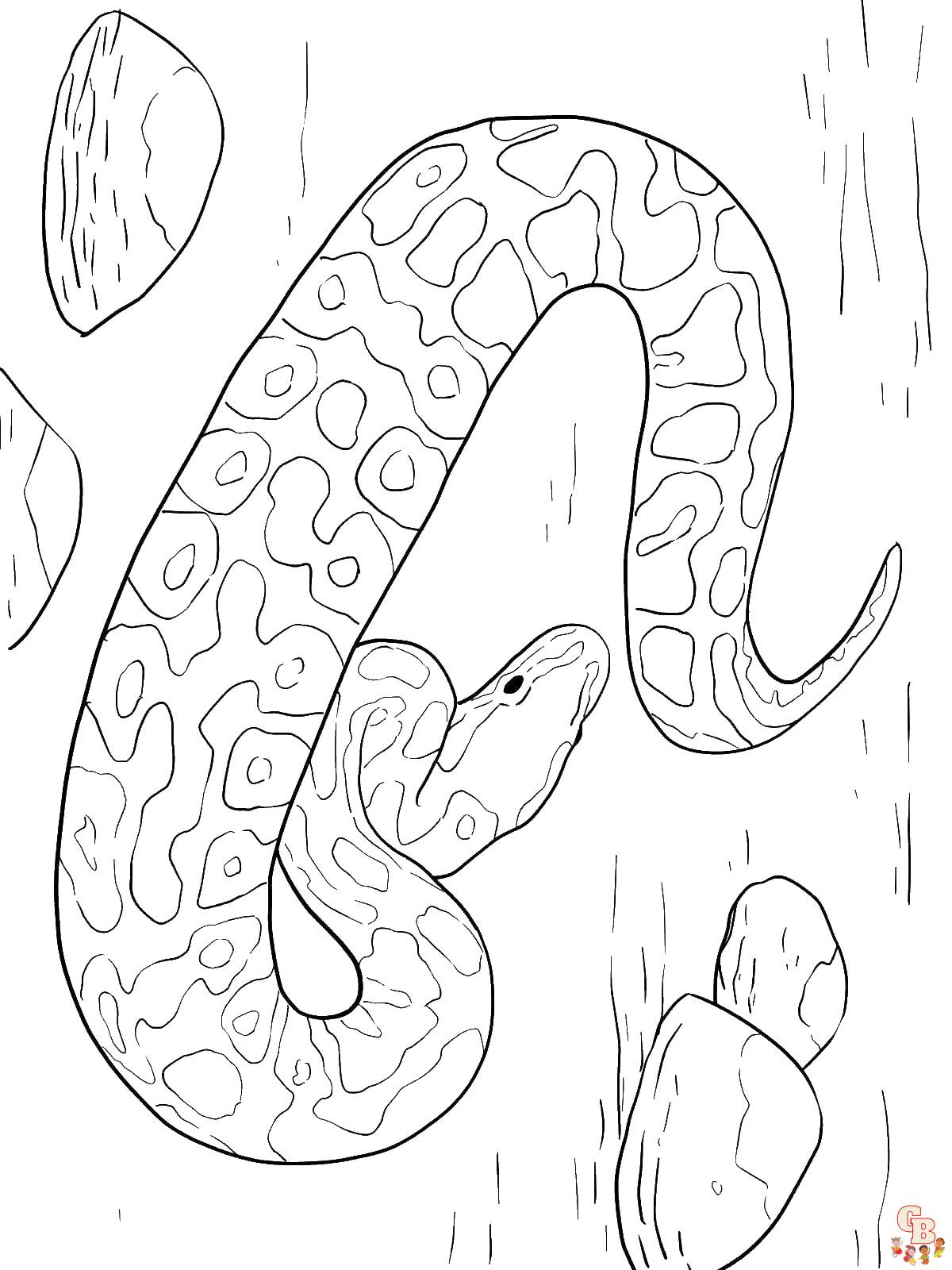 Green Anaconda Coloring page  Animal coloring pages Snake coloring pages  Green anaconda