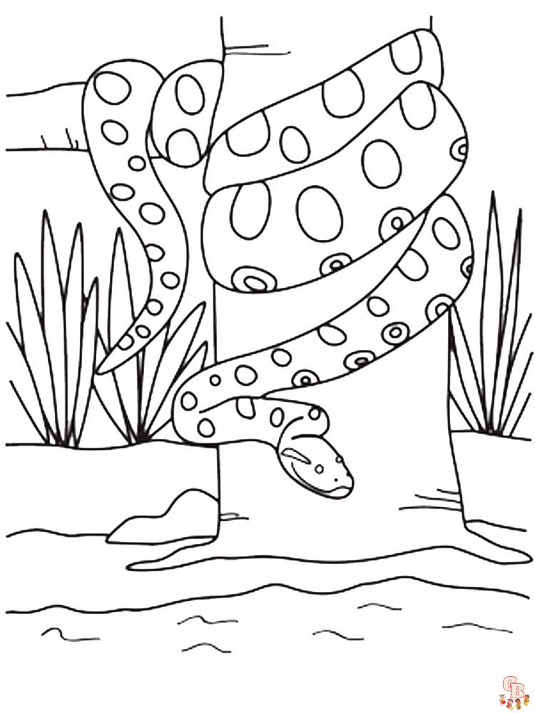 Anaconda Coloring Pages 3