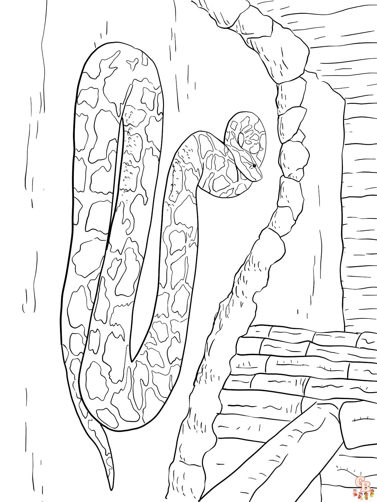 Dibujos para colorear Anaconda 5