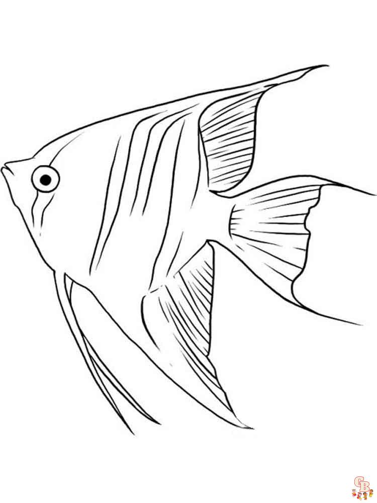 Angelfish Coloring Pages 10