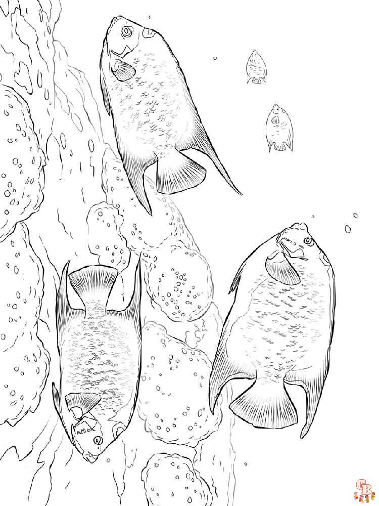 Angelfish Coloring Pages 11