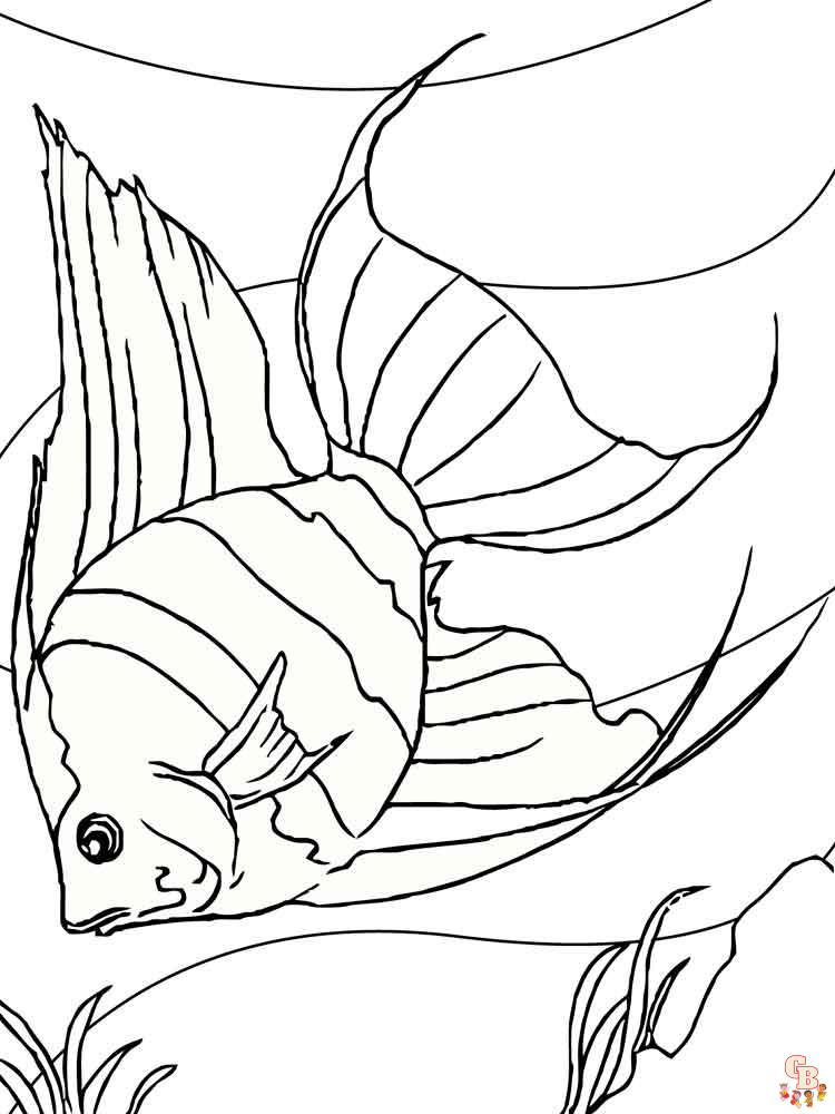 Angelfish Coloring Pages 3