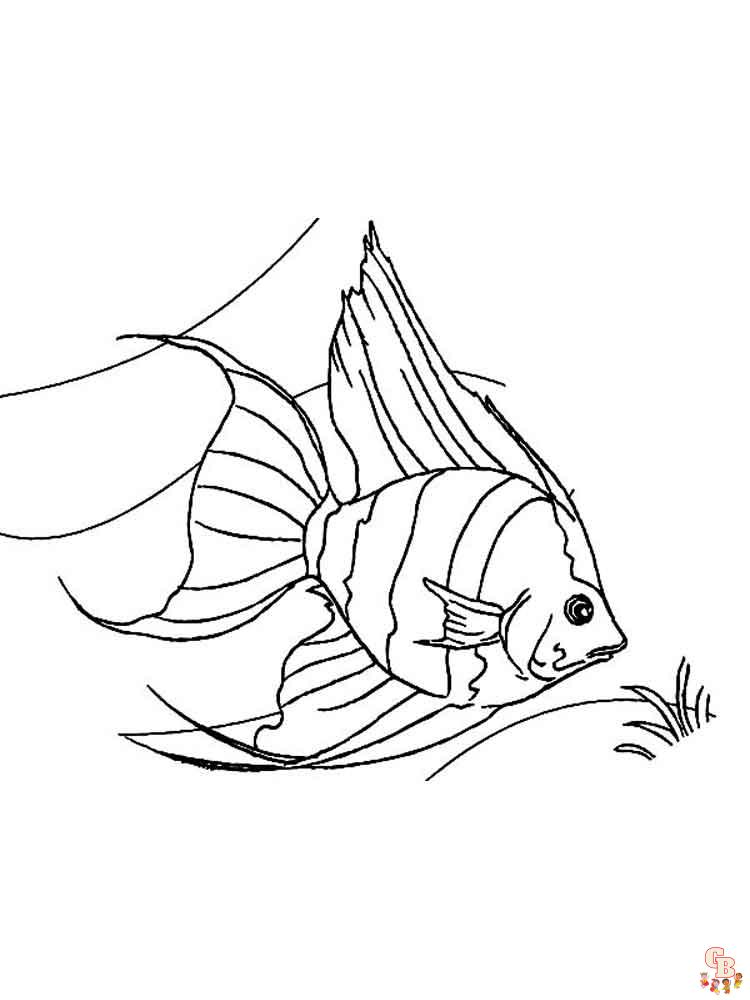 Angelfish Coloring Pages easy