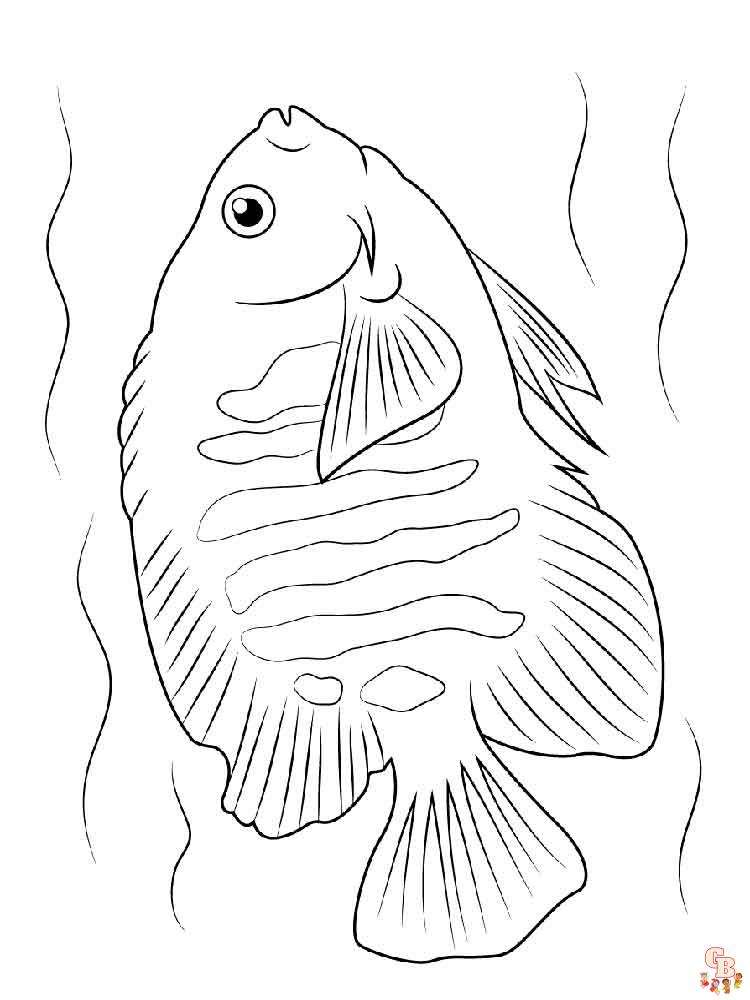 Angelfish Coloring Pages 9