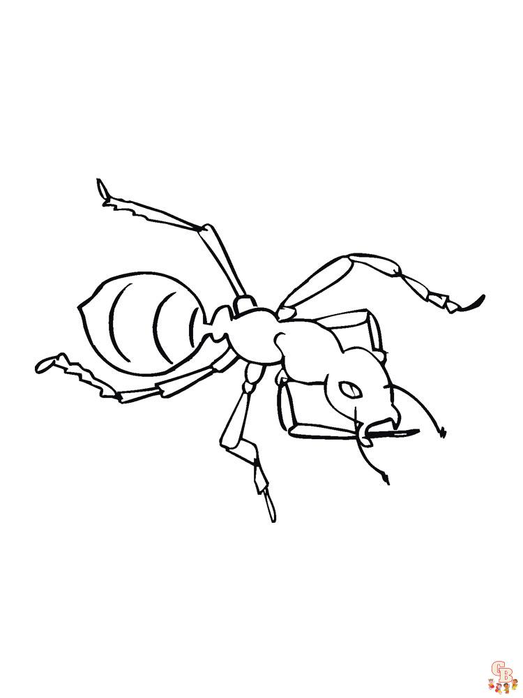 Ant Coloring Pages 32