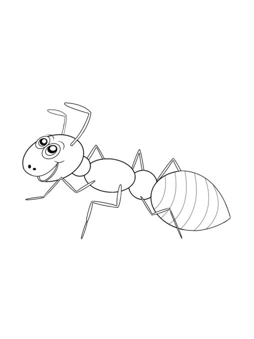 Ants Coloring Pages - Fun and Free Printables for Kids