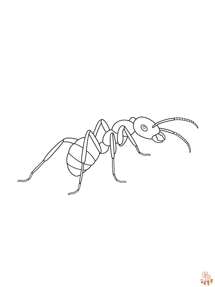 Ant Coloring Pages 34